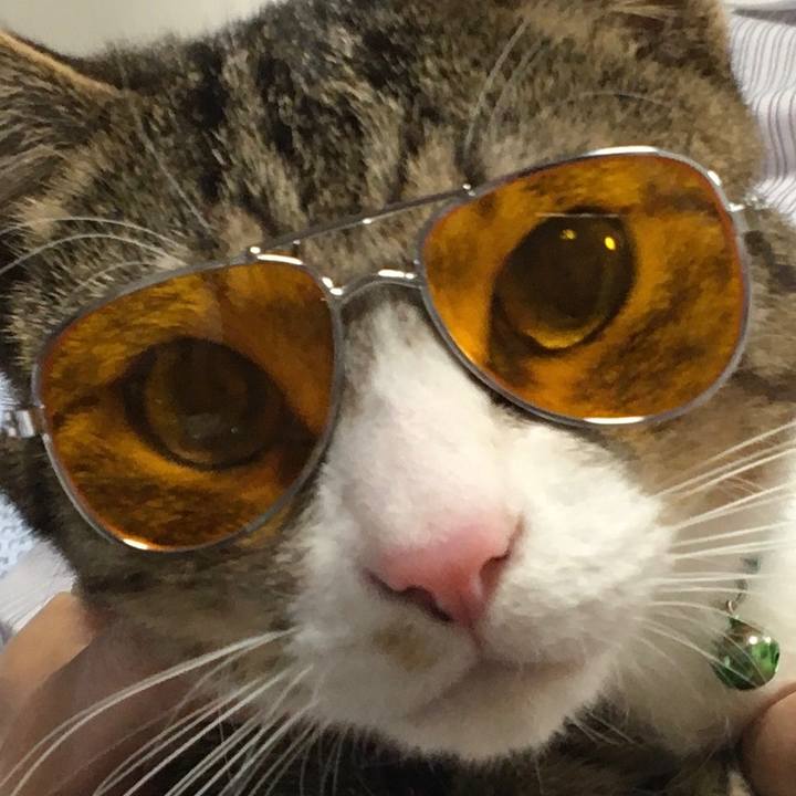 418ee178 7d25 4b54 9467 e7e2adde9a22 1676127370646