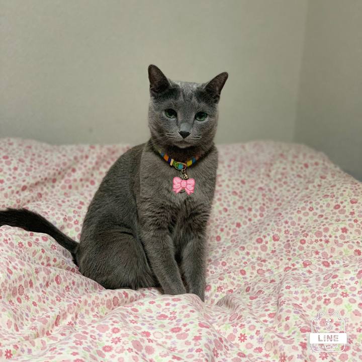 418f243d 37a4 4424 b4fc 2d6c96282dd6 1641962810918