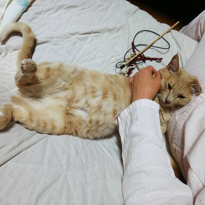 418f3bb2 d9f3 4ea0 8738 ca77df6dc966 1633866997027