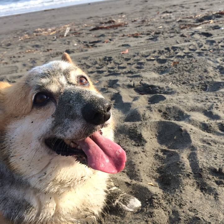 418f477b 79b2 4433 ac09 f31fec04ec10 1525058586111