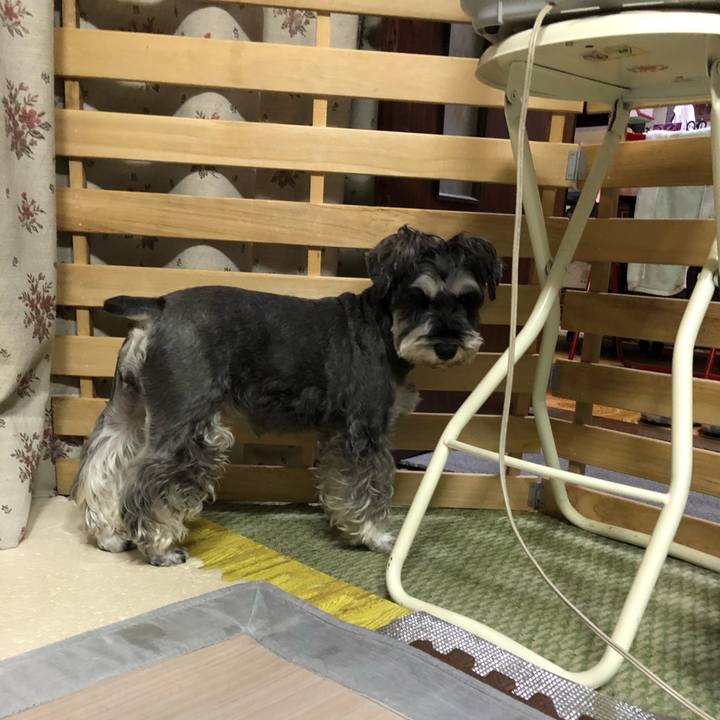 418f8fc6 6aef 4fef 9379 25176d7b9e73 1633431881206