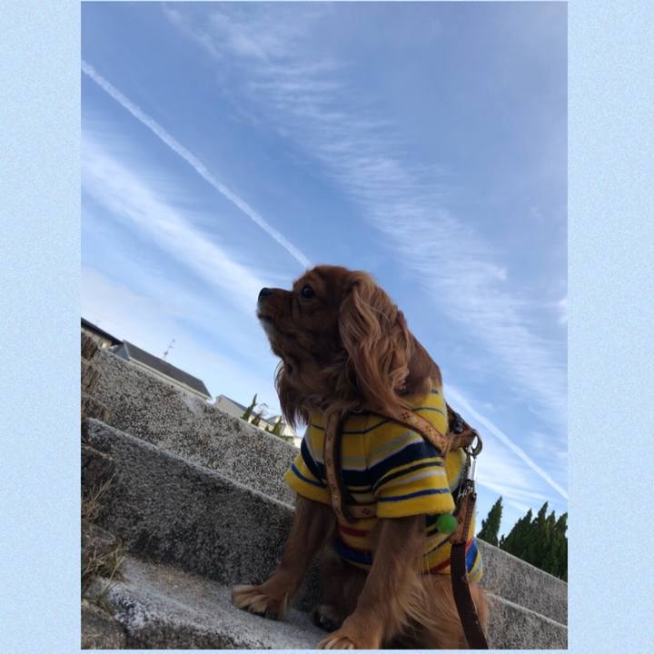 418fa536 1b78 41f1 b95b 7a2d3ea21da5 1608338276594