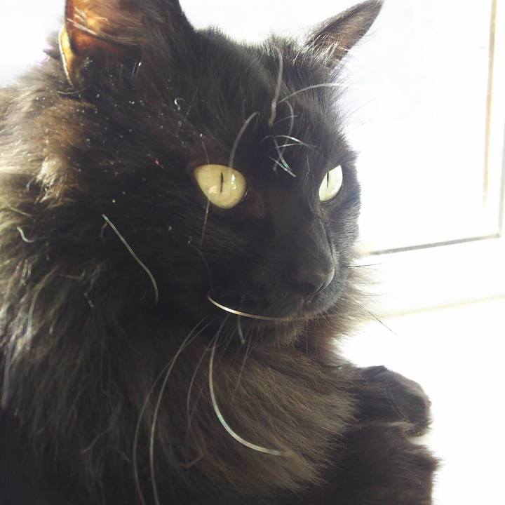 418fea8f e3ed 4c2d b386 6153c1f7c278 1549193269513