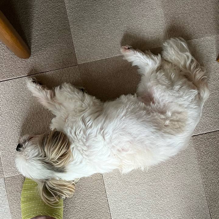 4190062c ca30 4f9a b001 7520efb1a2c3 1726890657595