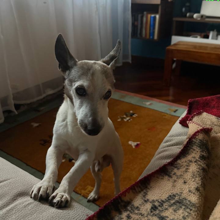 4190297b f5b1 4804 bfe2 86837ca3a8ab 1761996751929