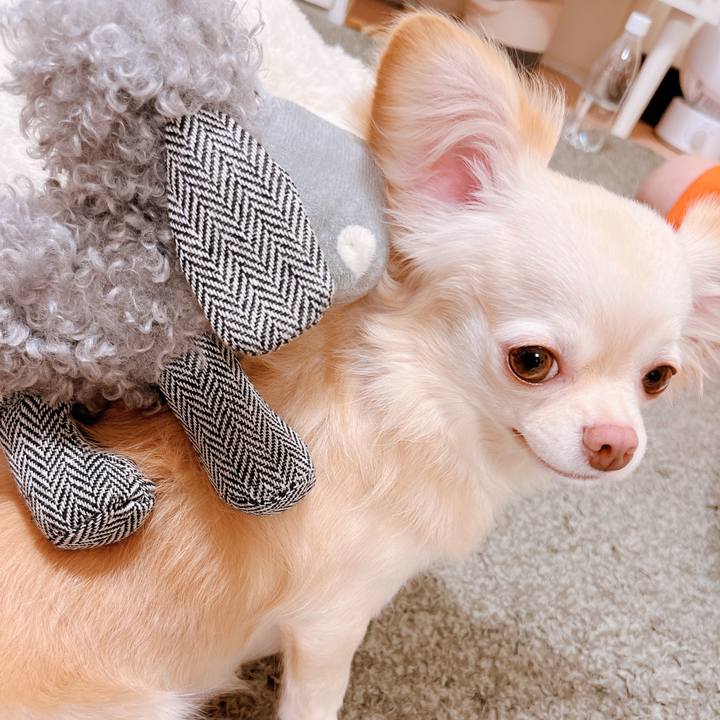 41902ff3 f00b 46e9 98c9 19544bbe4afd 1661304280495