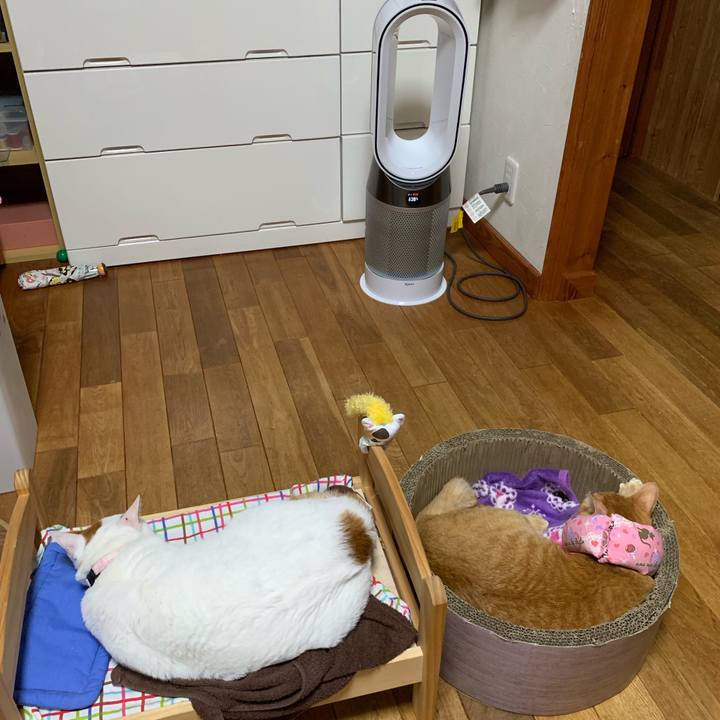 419034dc ee10 427c afac 6e016c1acf33 1569068294651