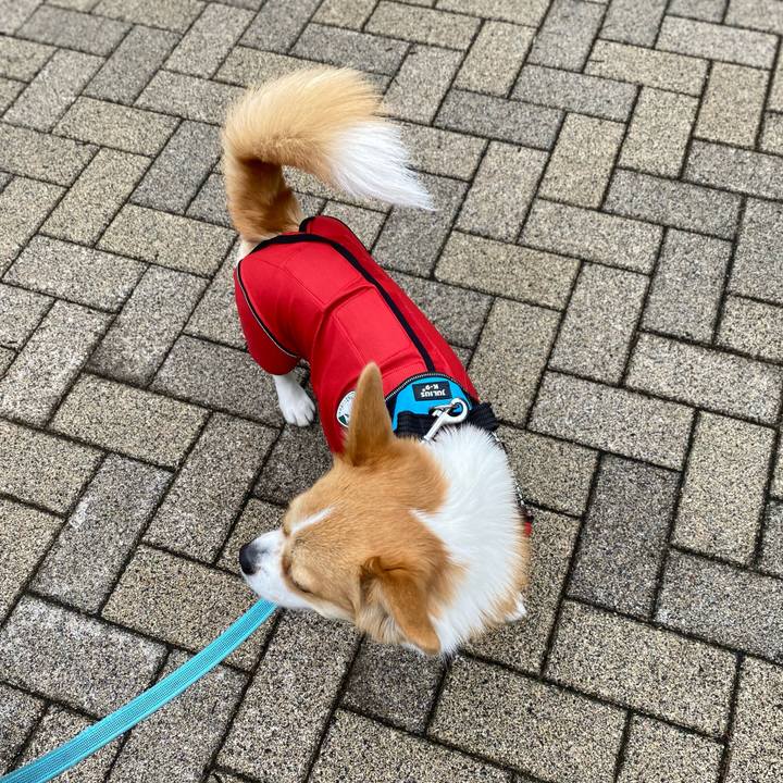 41904fdc 7413 4c2d b812 8abf39b7ade8 1624935339366