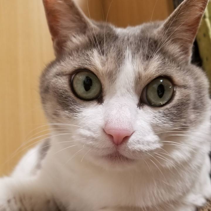 41907006 e34d 4a39 b39b 55dd022c38fd 1678877246102