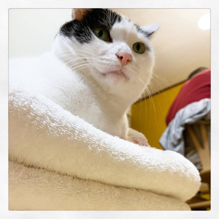 41908429 12d5 4f35 9b01 33edafbd4c96 1610972040409