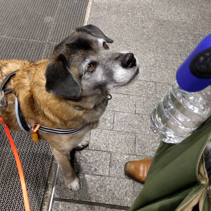 419093fd 5a62 4953 b291 4233752a1bad 1515063600189