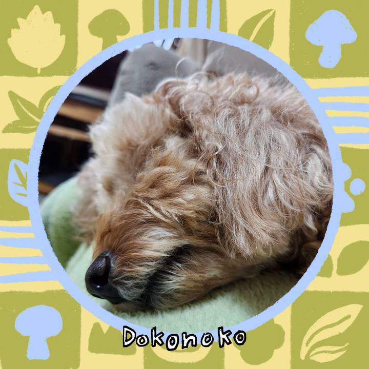 41909905 dbf2 4cae 8d36 487a507b71d7 1761459918923