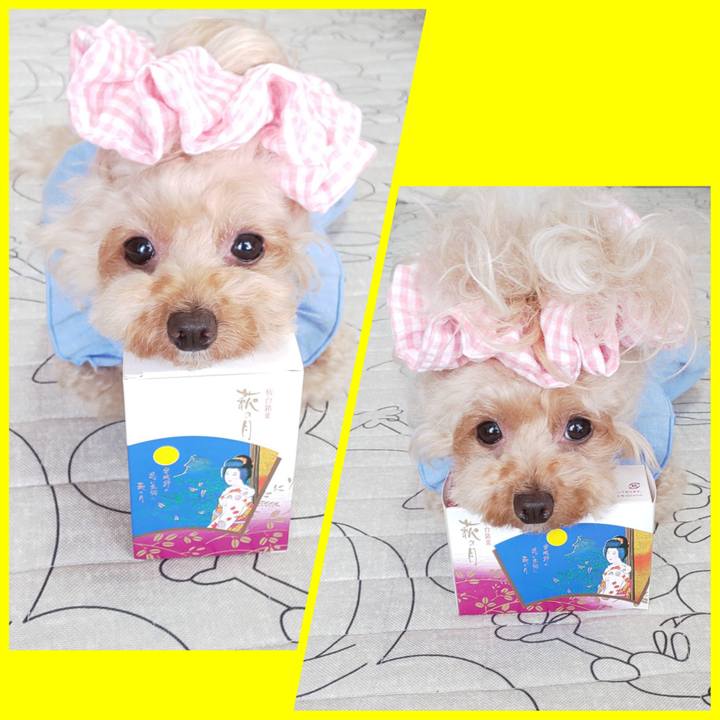 4190a91e ec3a 4495 a872 836cd84547ce 1569661417930