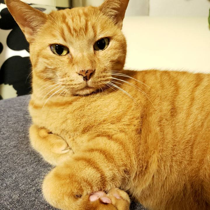 4190d4da 27ec 4089 9c2e 8fd49380d9bc 1716290292938