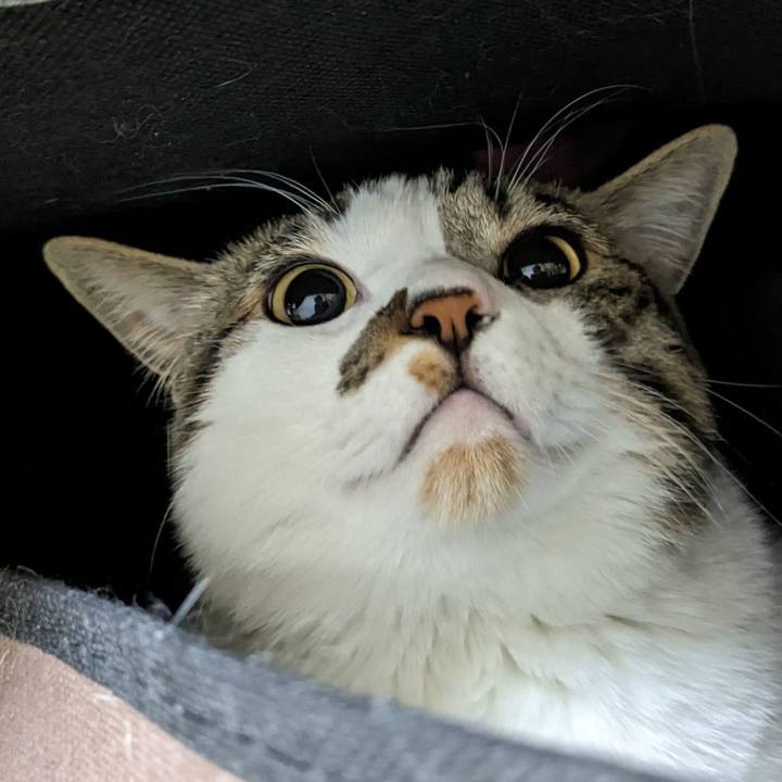 4190f3d5 5a6b 4089 af7b 0ec115ea6d22 1681079331012