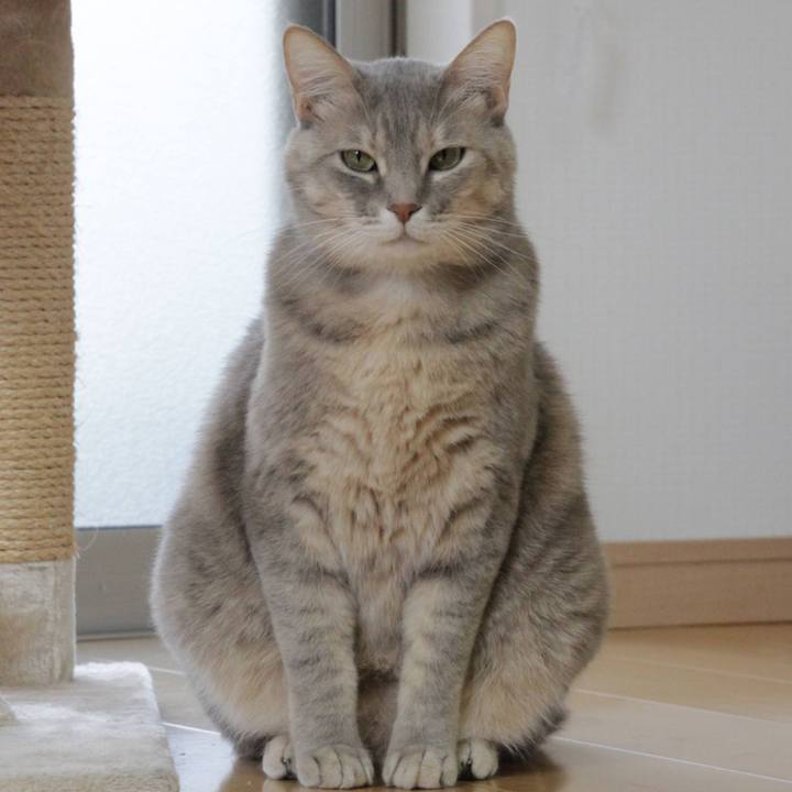 4190ffc6 d529 4f81 933c 10702a323d59 1611908804072