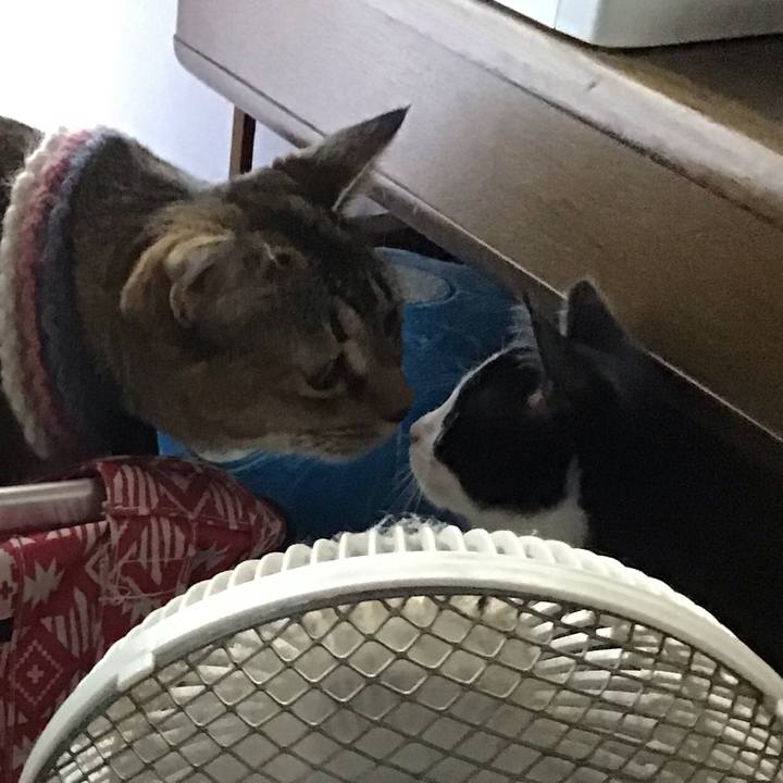 4191108f 75d2 41fe a760 24c04f46206e 1626497261254