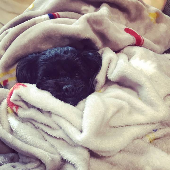 419110fc 9398 469e 87cb 564f8345a76e 1561111076678