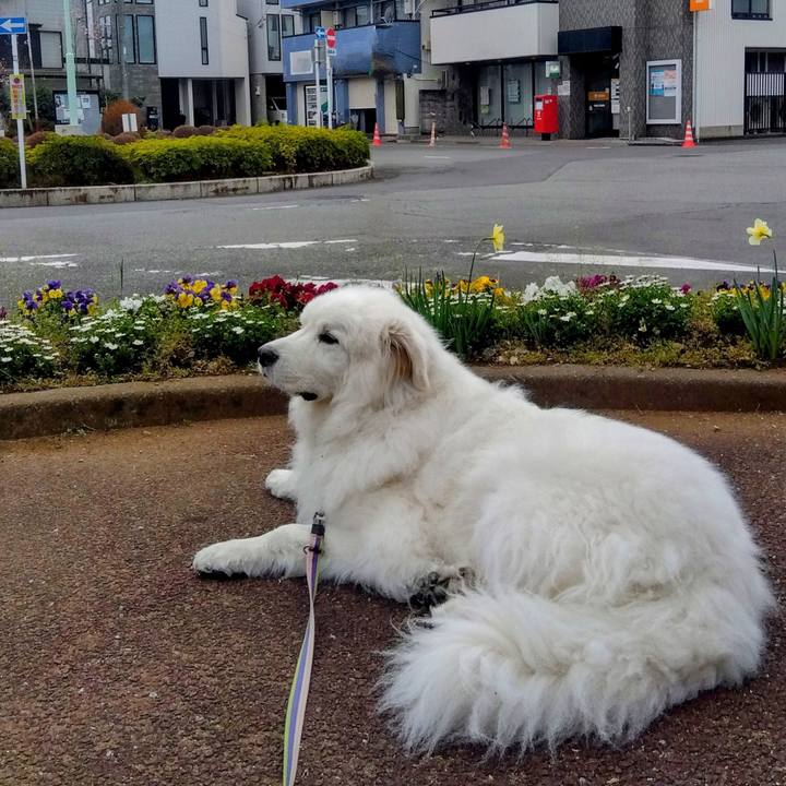 41914e17 5e77 4af3 918b edc39bef3d03 1679403863041