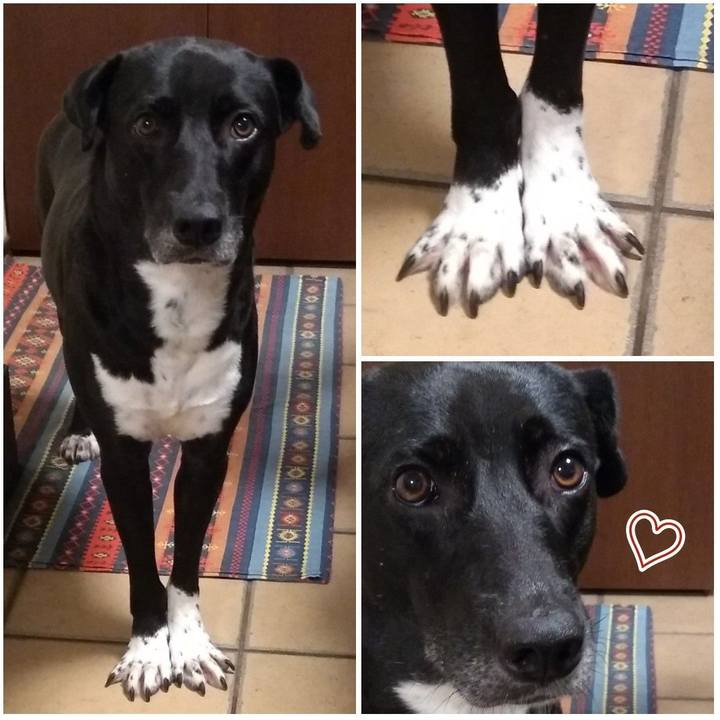 4191aedc 6f5c 42eb 8390 c864b9cbd3d2 1629371212464