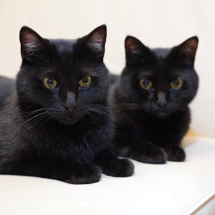 4191b6b0 a658 4e55 b8dc 21163cd1d747 1625579506717