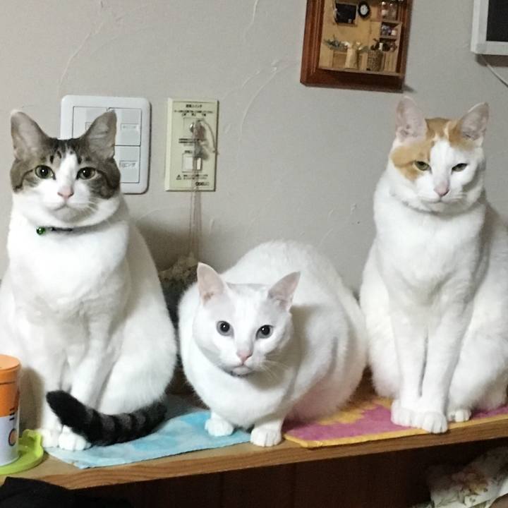 41923735 c177 4284 a0a6 d1fdf355ca6f 1519049533679