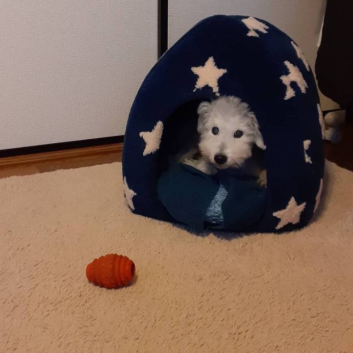 4192571d 9c4e 48cc aa33 75a8c06a1011 1635770941778