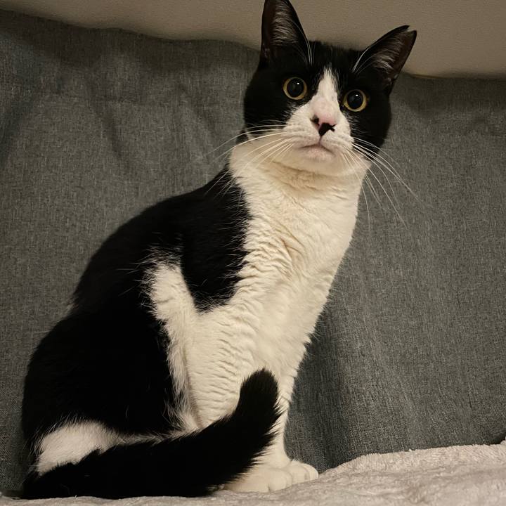 41926726 aa51 4f45 82a2 a8e2e7690c7a 1742393264921