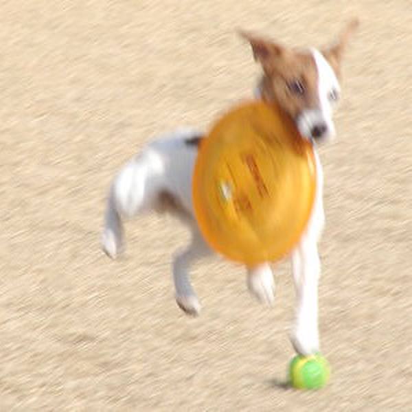 41926a06 1831 476a a1dd 90866010e556 1553784535835