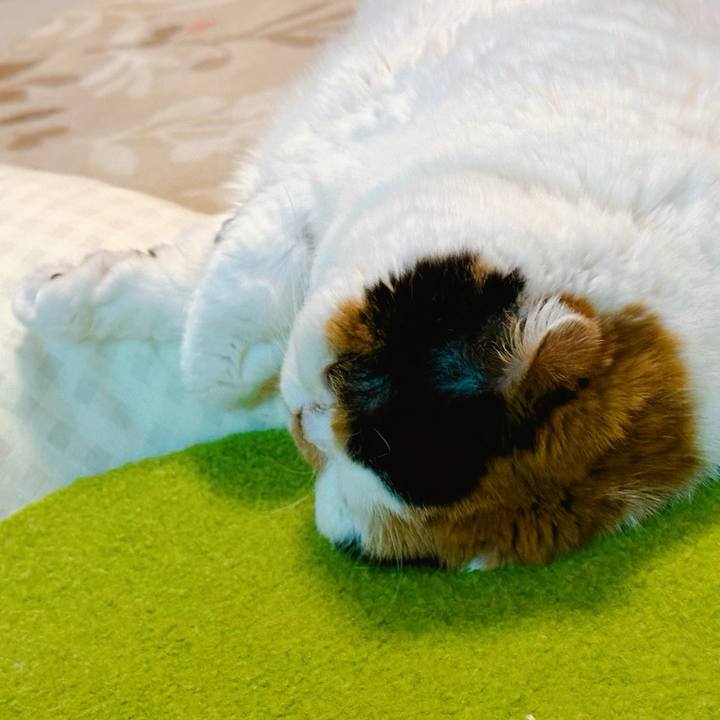 41928002 fd02 4f3c 847c 45beb7c0a625 1734340873612