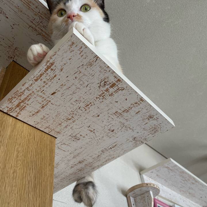 419299b5 0373 45b7 8b1e 54d31ca080e2 1690323935905