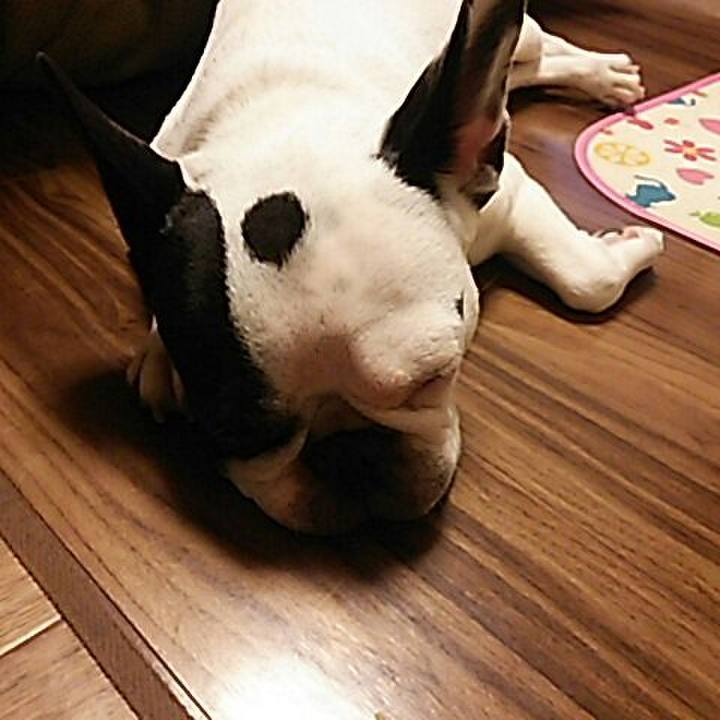 4192a937 264e 4c9b b096 685173be6454 1532266364058