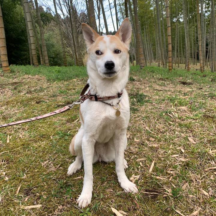 4192bc80 6240 44cb 9012 e352869662c2 1658896566325