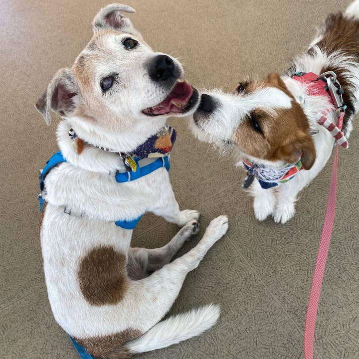 4192c3ce 3d4f 42ef 8d08 582ab99d03e2 1691809995982