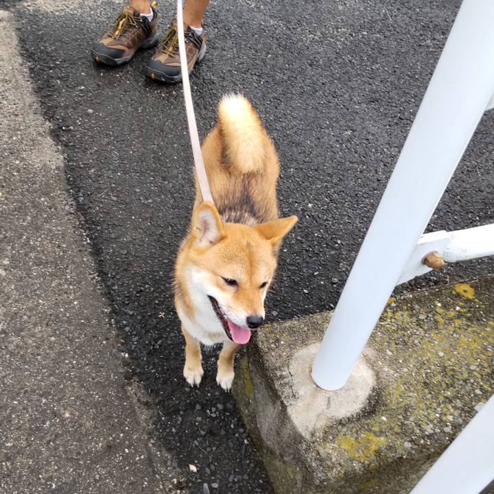 4192d9b6 cebe 464a 822c 9cfd074e554f 1628473003542