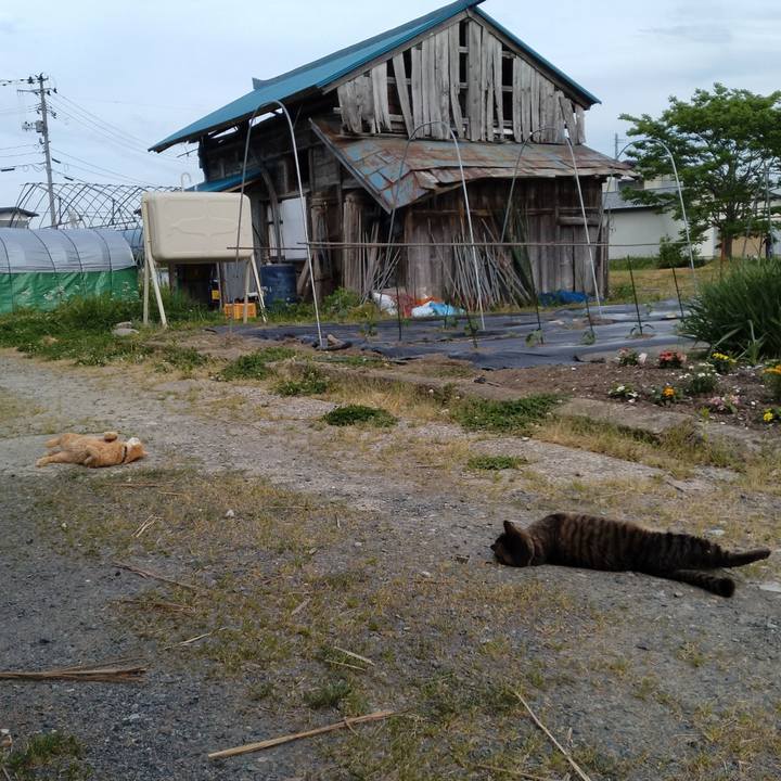 419300ba 5ddc 417c b30a 73cddb7dff7f 1715765413117