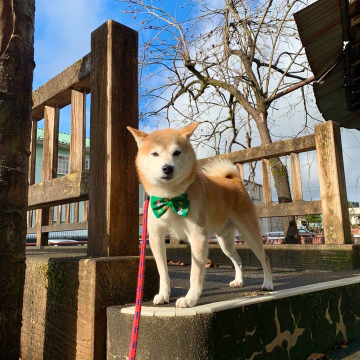 4193245b fce8 4843 910a a0250916e95c 1671699589732