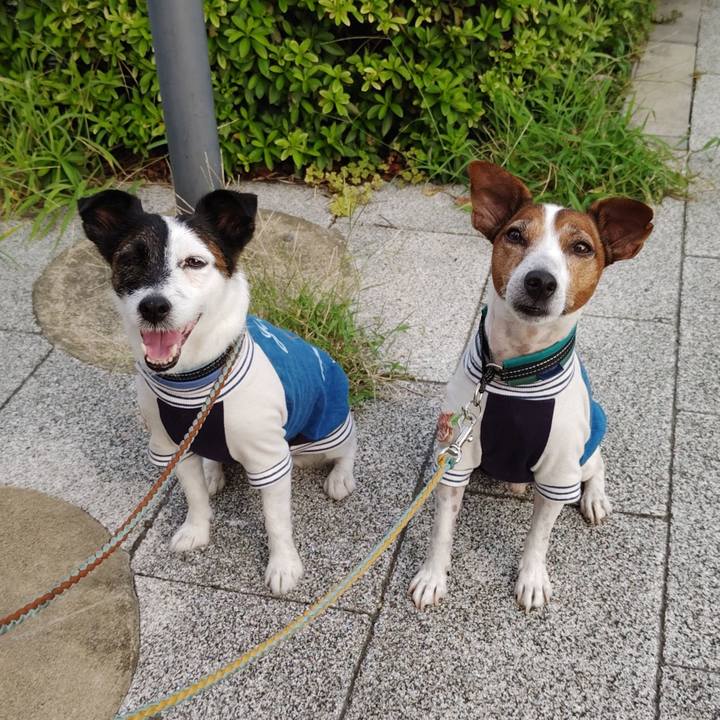 4193381a b759 40a2 bb3b 4f659b5d0b00 1725660777296