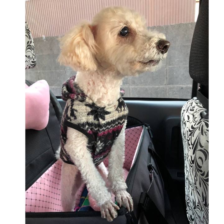 41933f2b 149f 446d a978 d881e76ee7dc 1547154638627