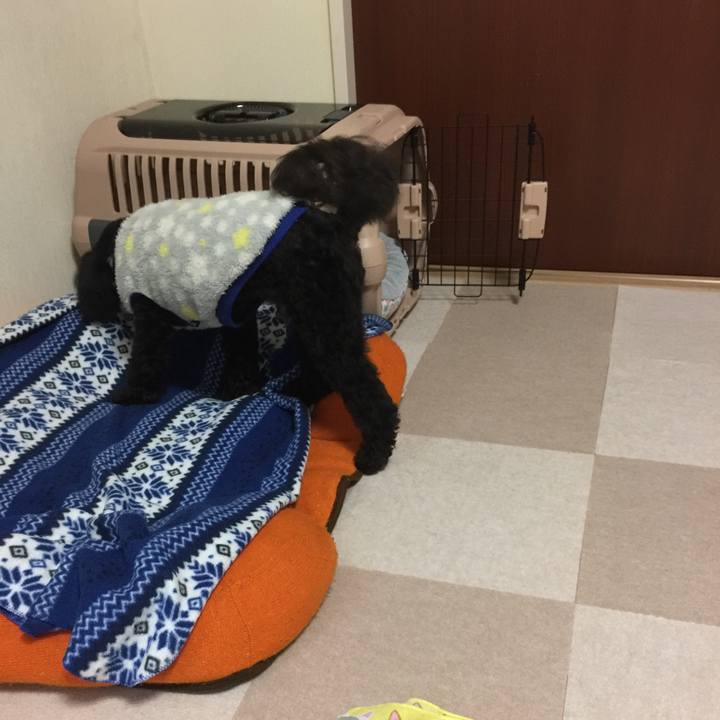 419350d0 204c 4e96 abda ea31511d16cf 1520032123197