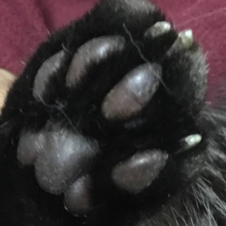 419357d3 1a63 4f8a ba6c 76f9ba484d3b 1764457918693