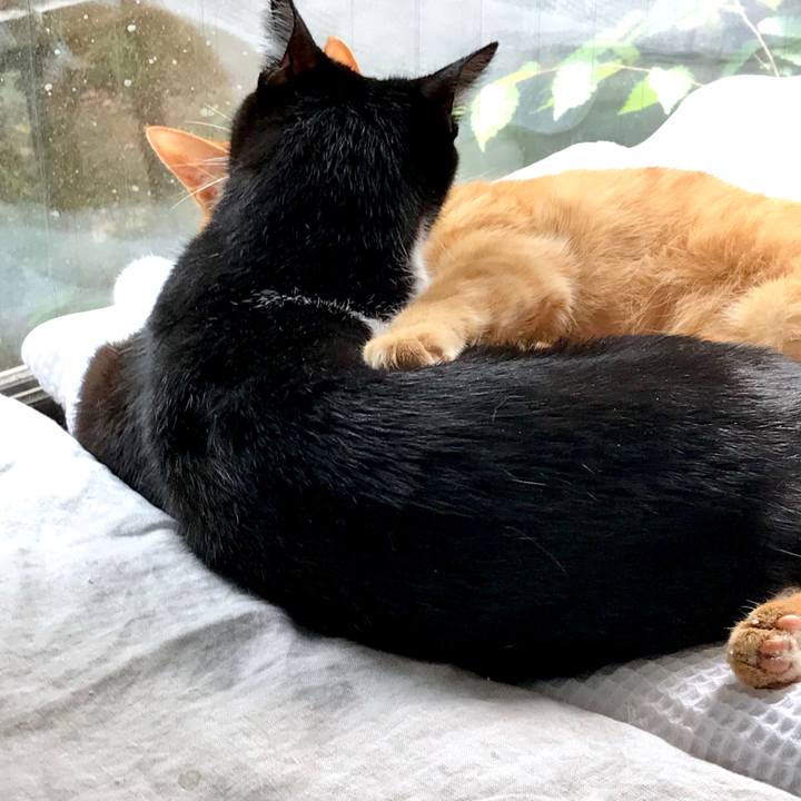 41936cdc c492 470b aee0 f8c887e46828 1558312702770