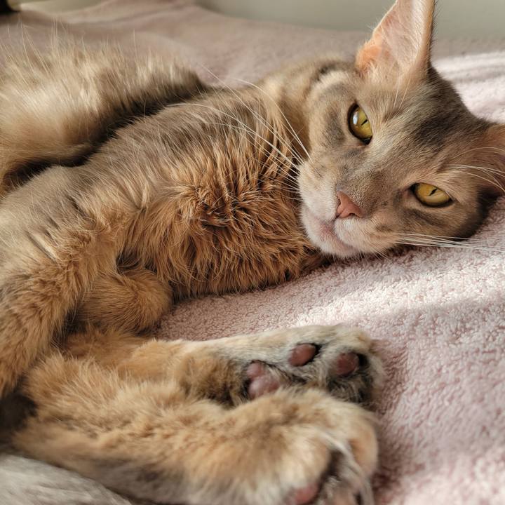 41937b2c 6b30 4ff9 b0e2 10e0efbfcb20 1637109240143