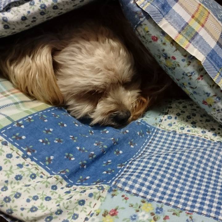 419396fd e8e3 4237 8c6a 92e4f94945b3 1508075925914