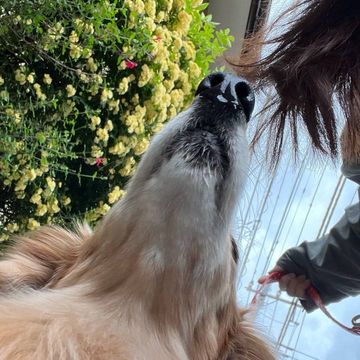 4193d79a c359 421f 8256 7a22af0ffe24 1681903815315