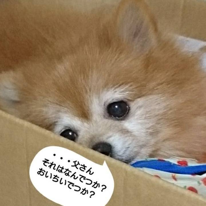 4193e23b 6763 4d93 83f2 54dd13671210 1510614162803