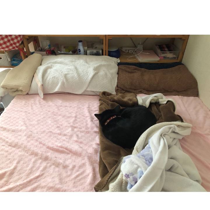 41940feb 5279 49f7 84dc e91a382bc897 1590404215966