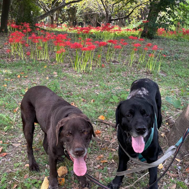 41941dee 00d8 4df8 be61 d396eb323e8d 1759062471497