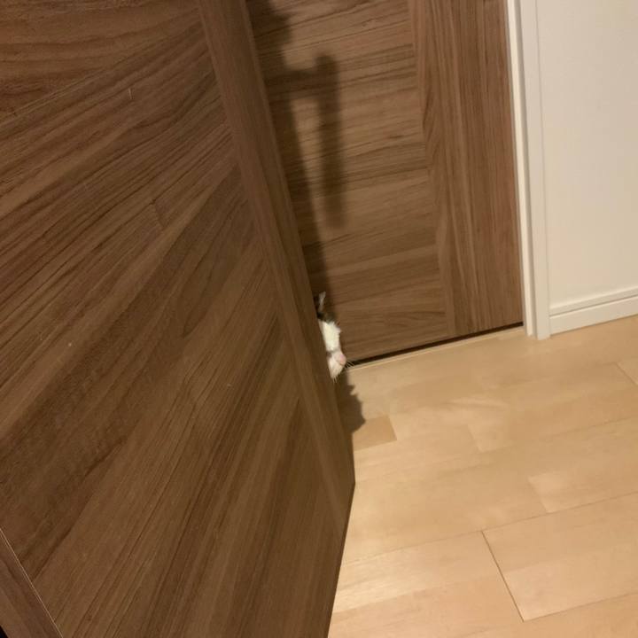 41949cae 3a5d 43be b884 bb033f54f5dd 1600440214621