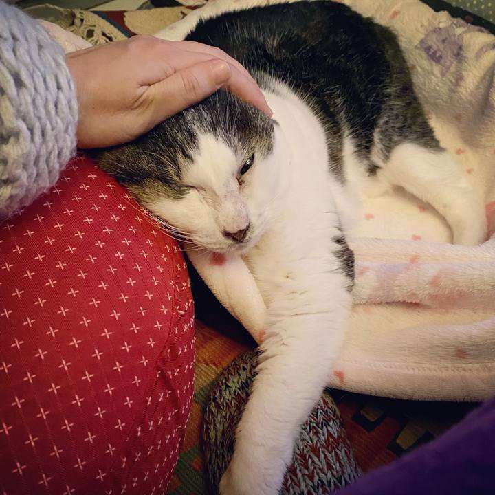 41949ea8 006f 48b1 840a c8adb5bd5d55 1639825916710